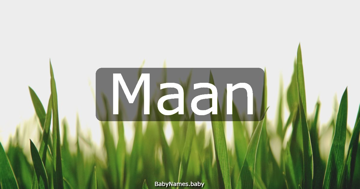 Maan