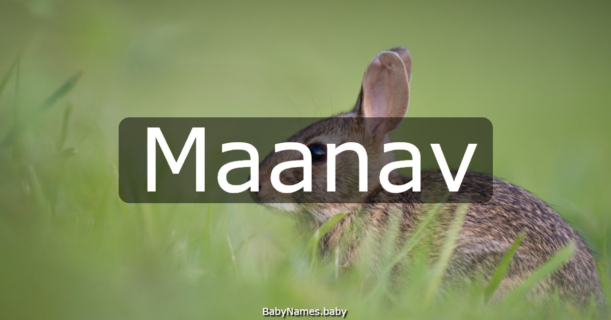 Maanav