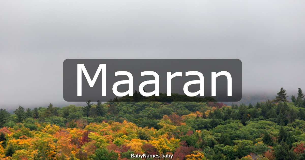 Maaran
