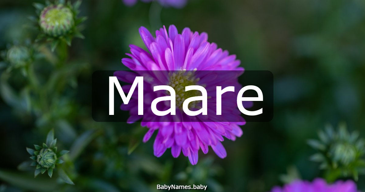 Maare