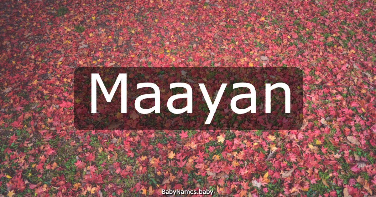 Maayan