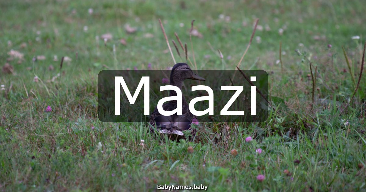 Maazi