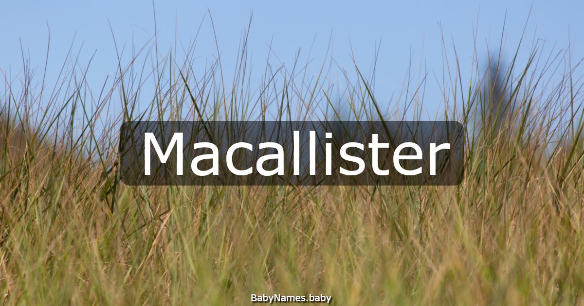 Macallister