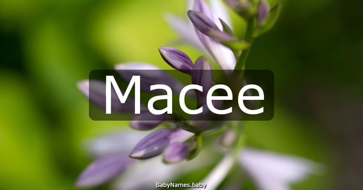 Macee