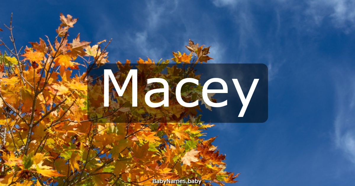 Macey