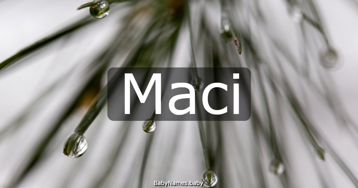 Maci