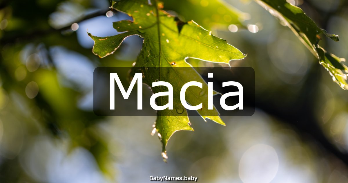 Macia