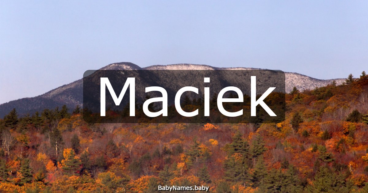 Maciek