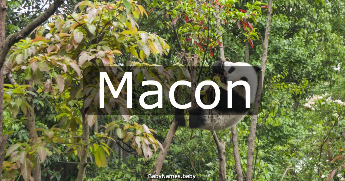 Macon
