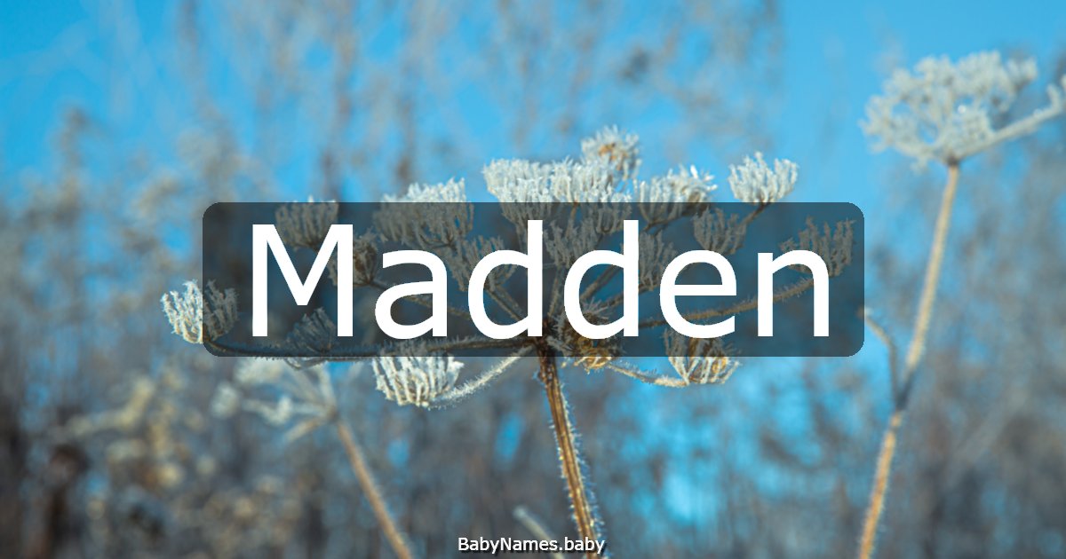 Madden