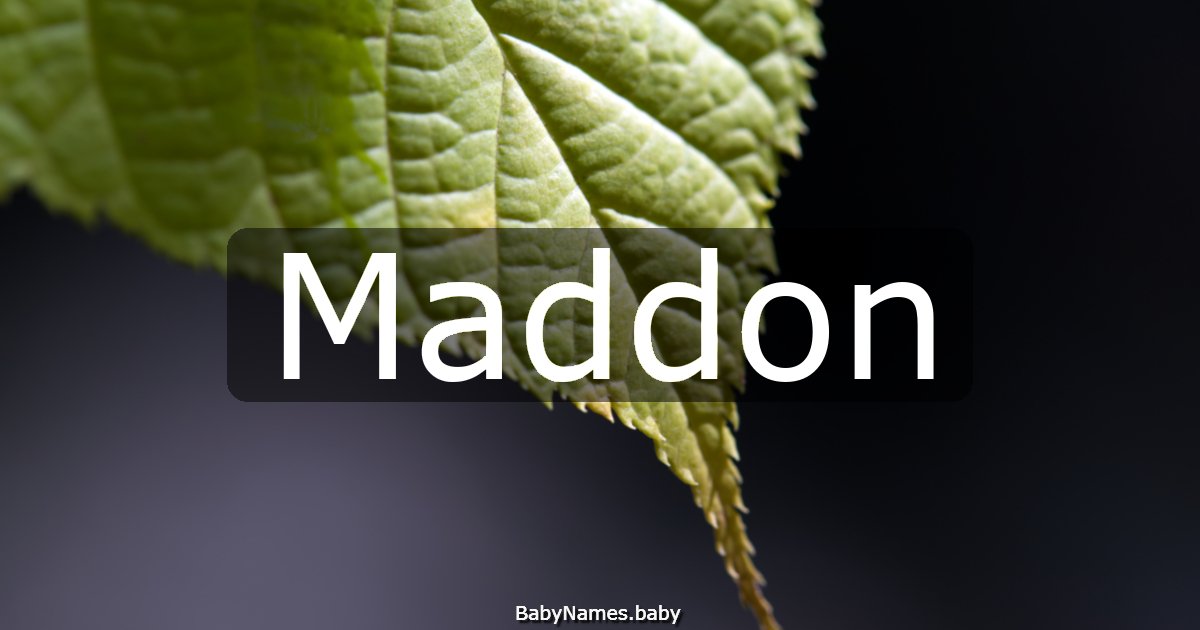 Maddon