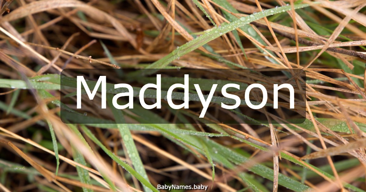 Maddyson