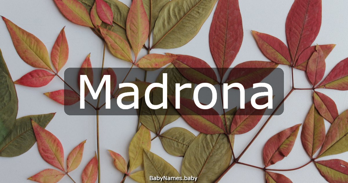 Madrona
