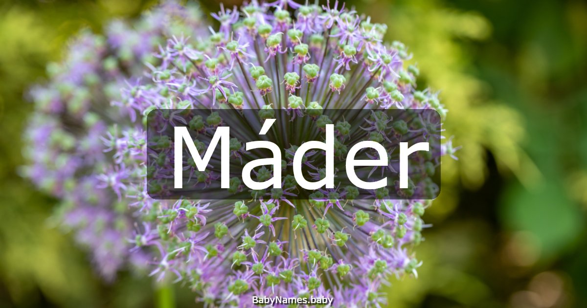 Máder