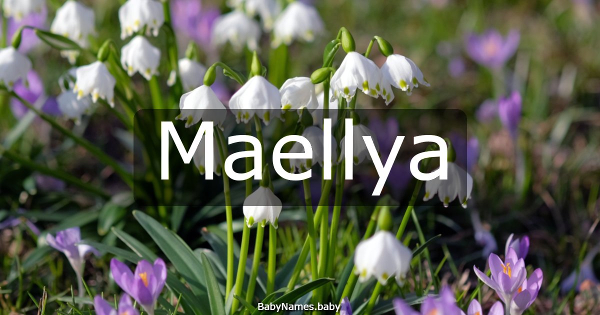 Maellya