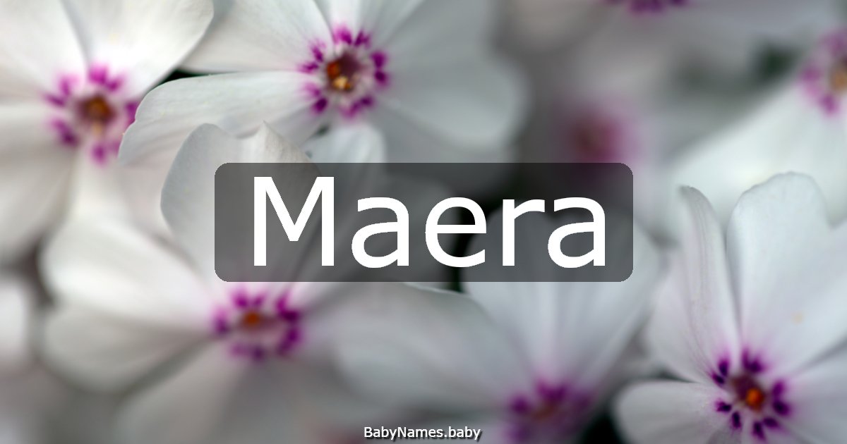 Maera