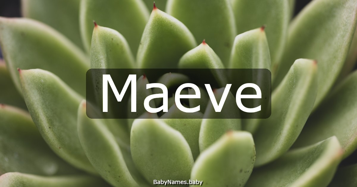 Maeve