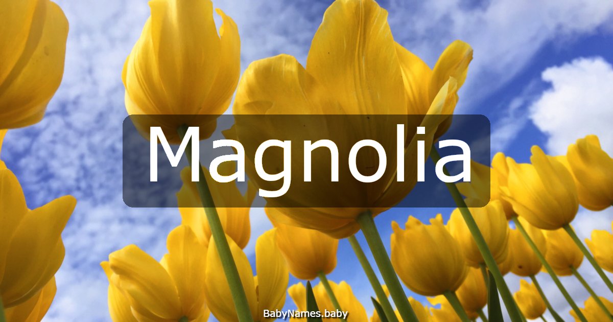 Magnolia
