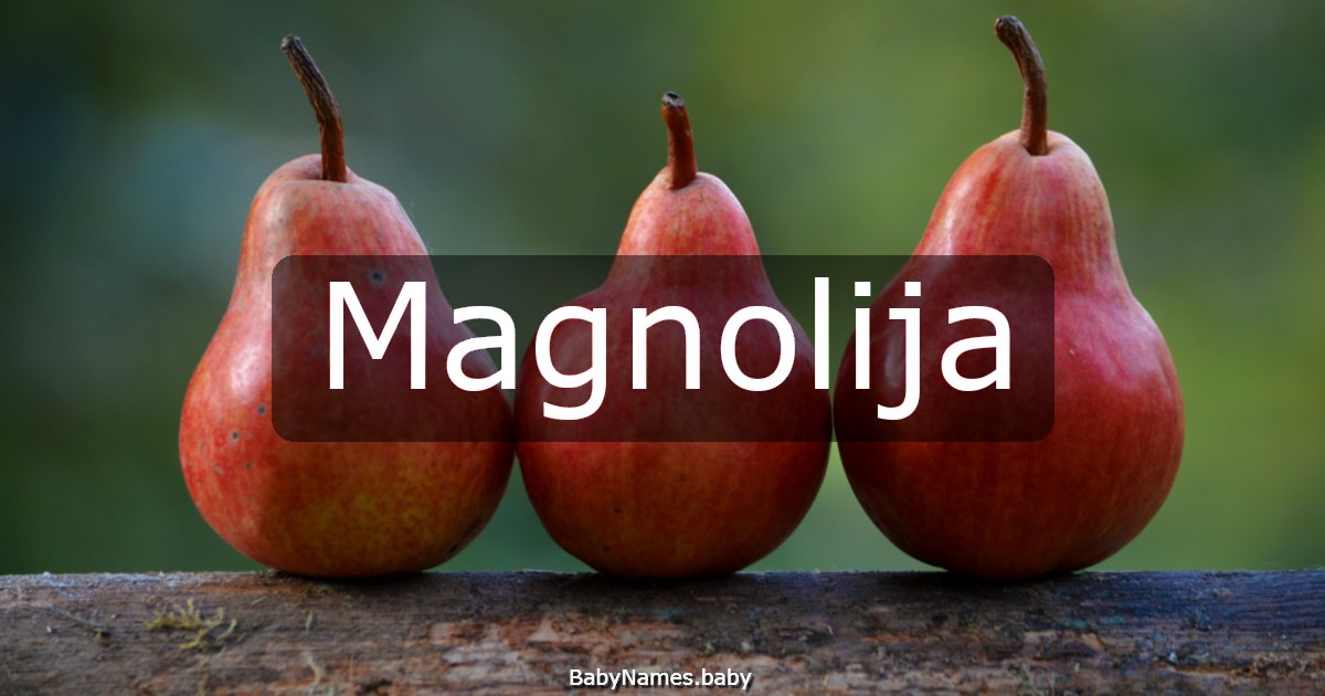 Magnolija