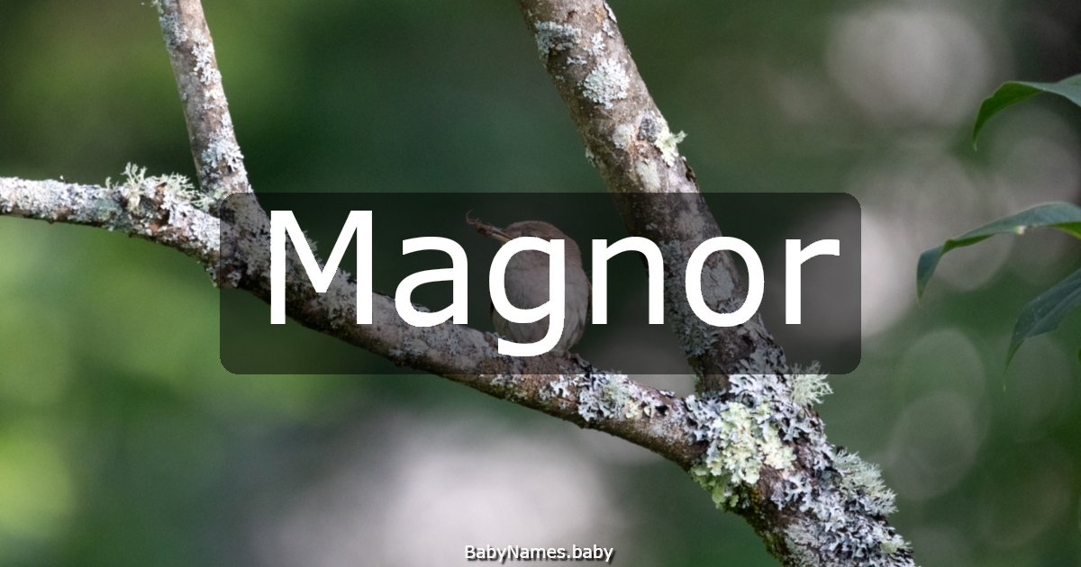 Magnor