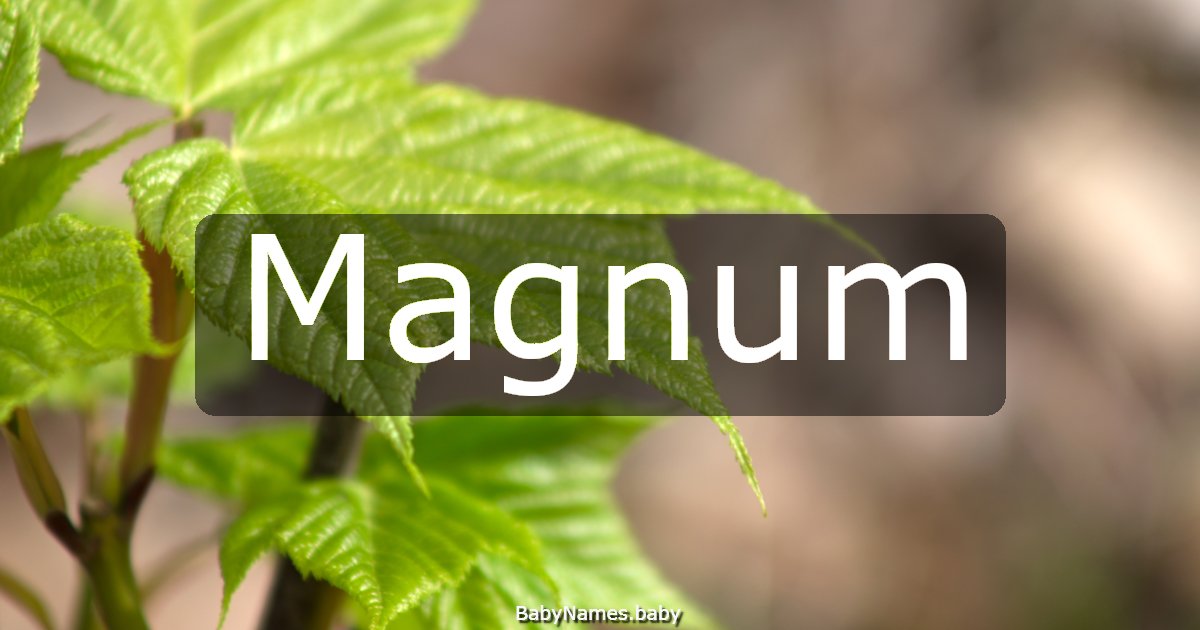 Magnum