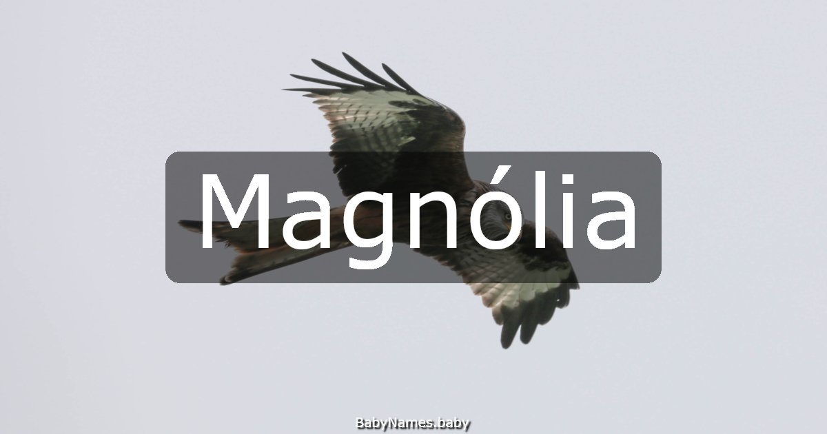 Magnólia