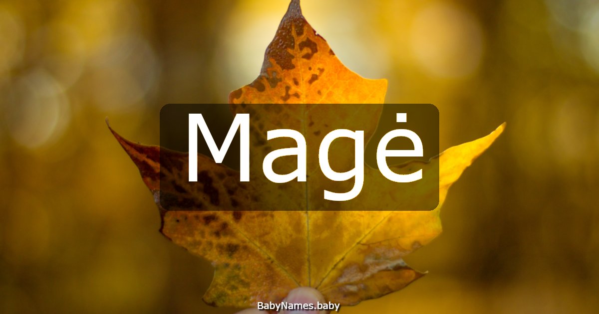 Magė