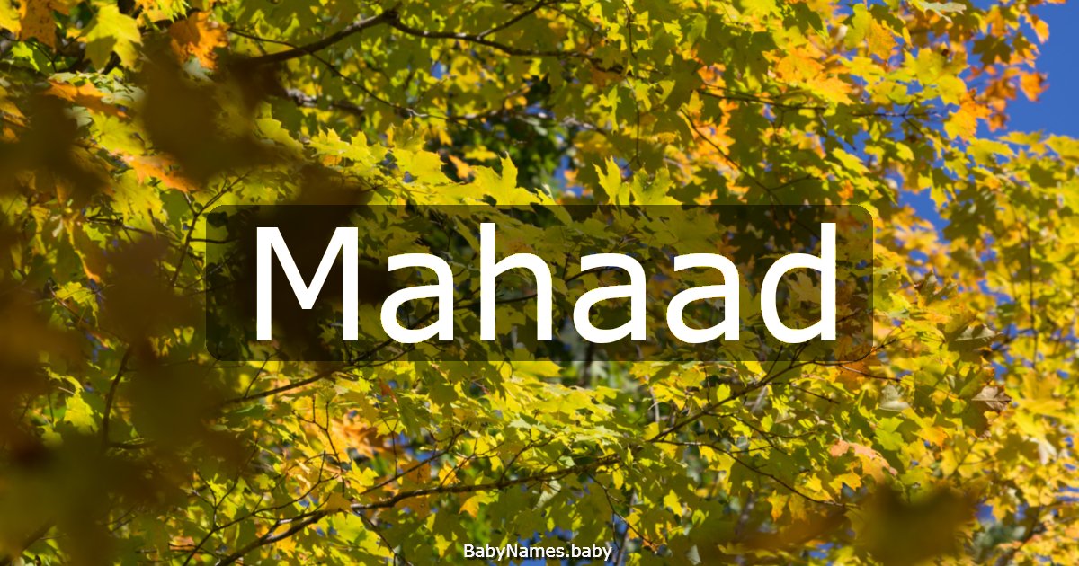 Mahaad