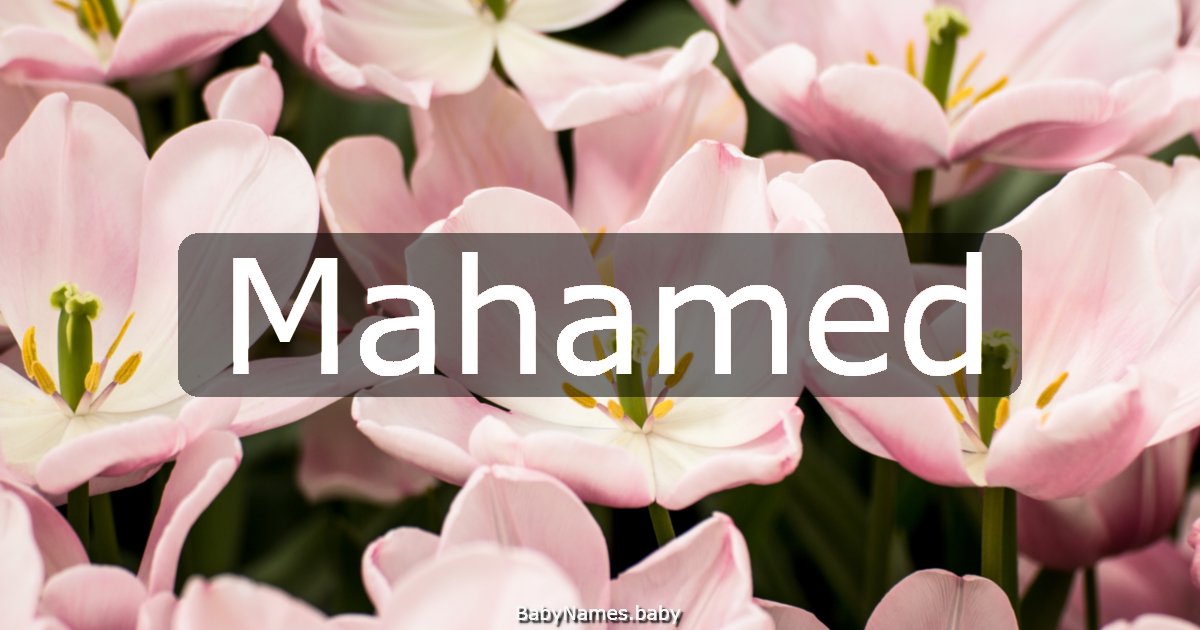 Mahamed