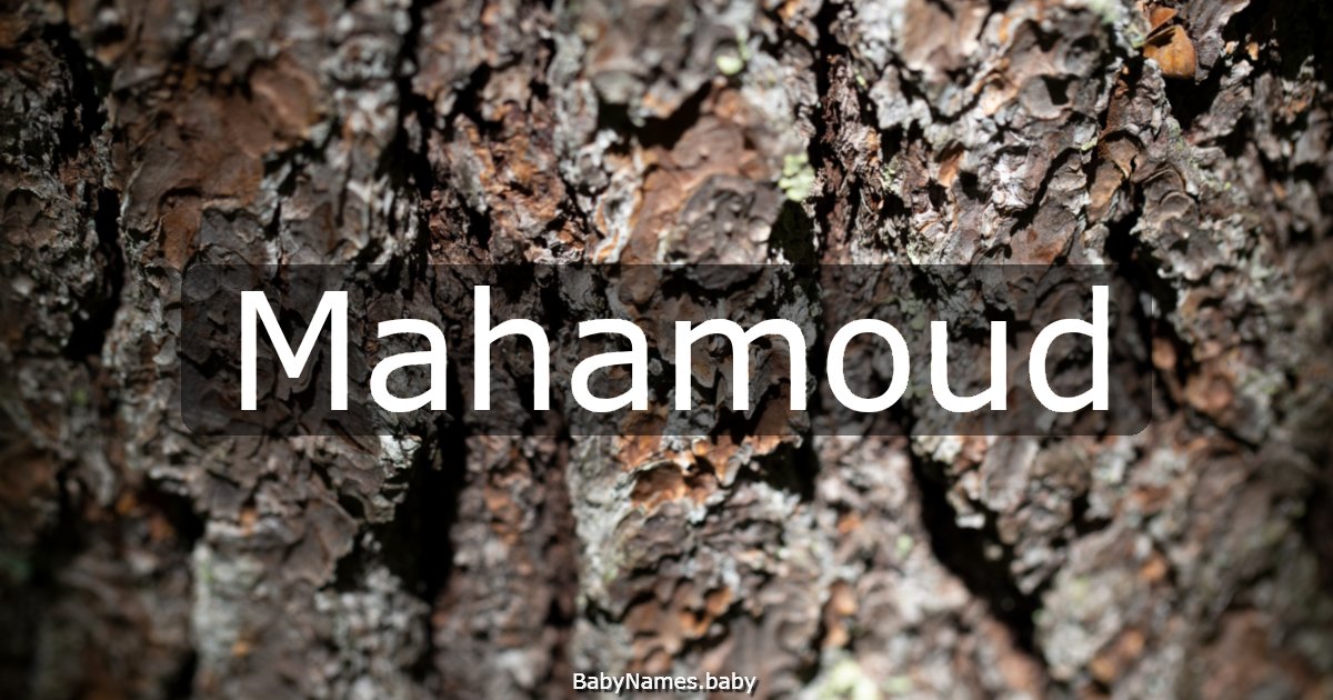 Mahamoud