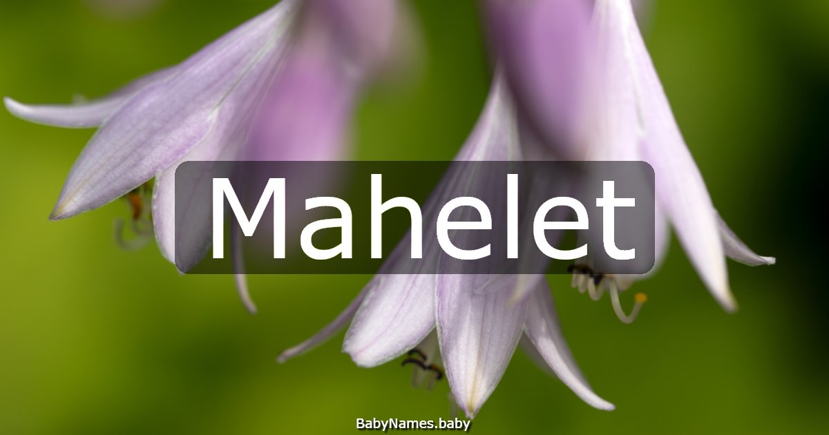 Mahelet