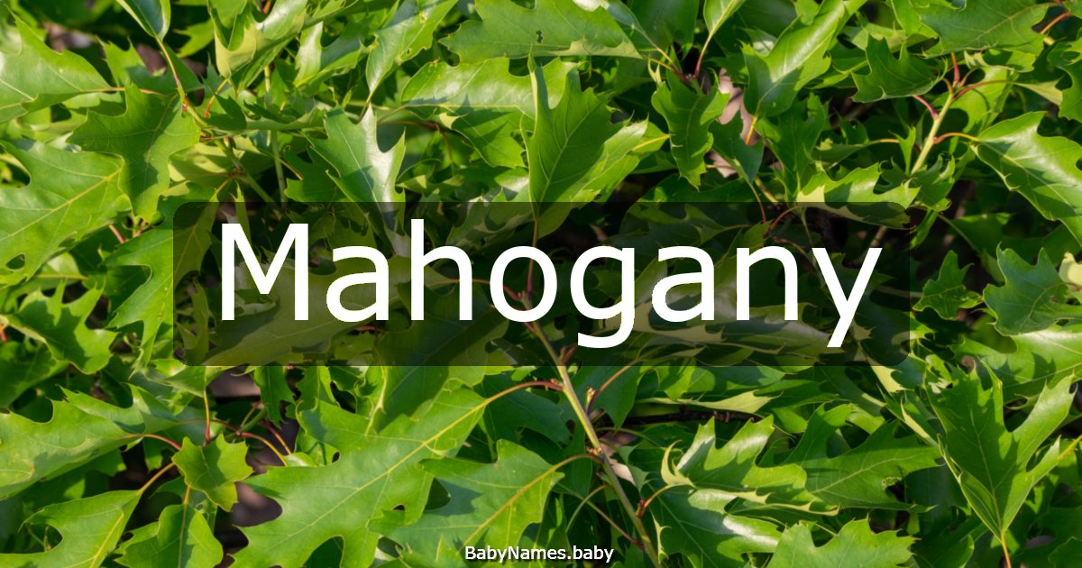 Mahogany