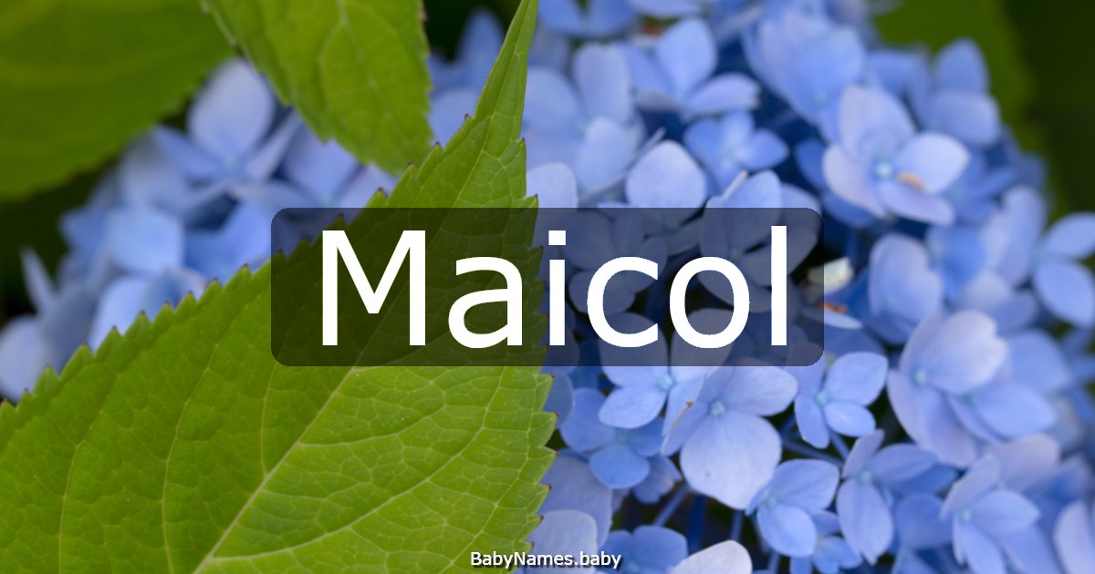 Maicol