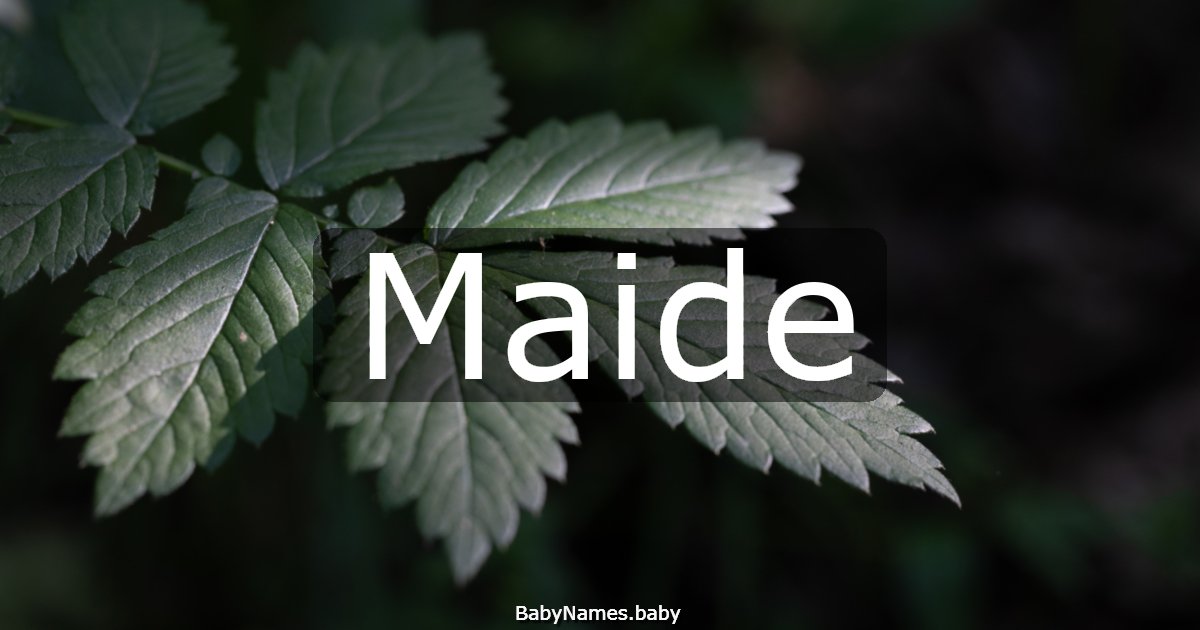 Maide