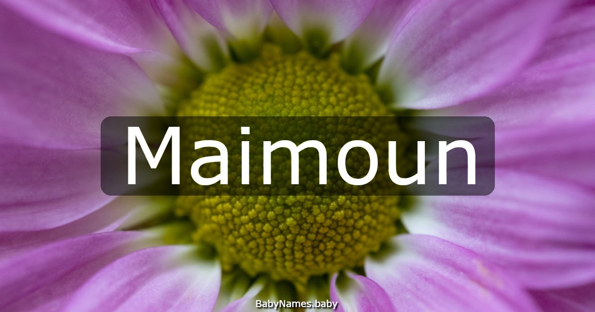 Maimoun