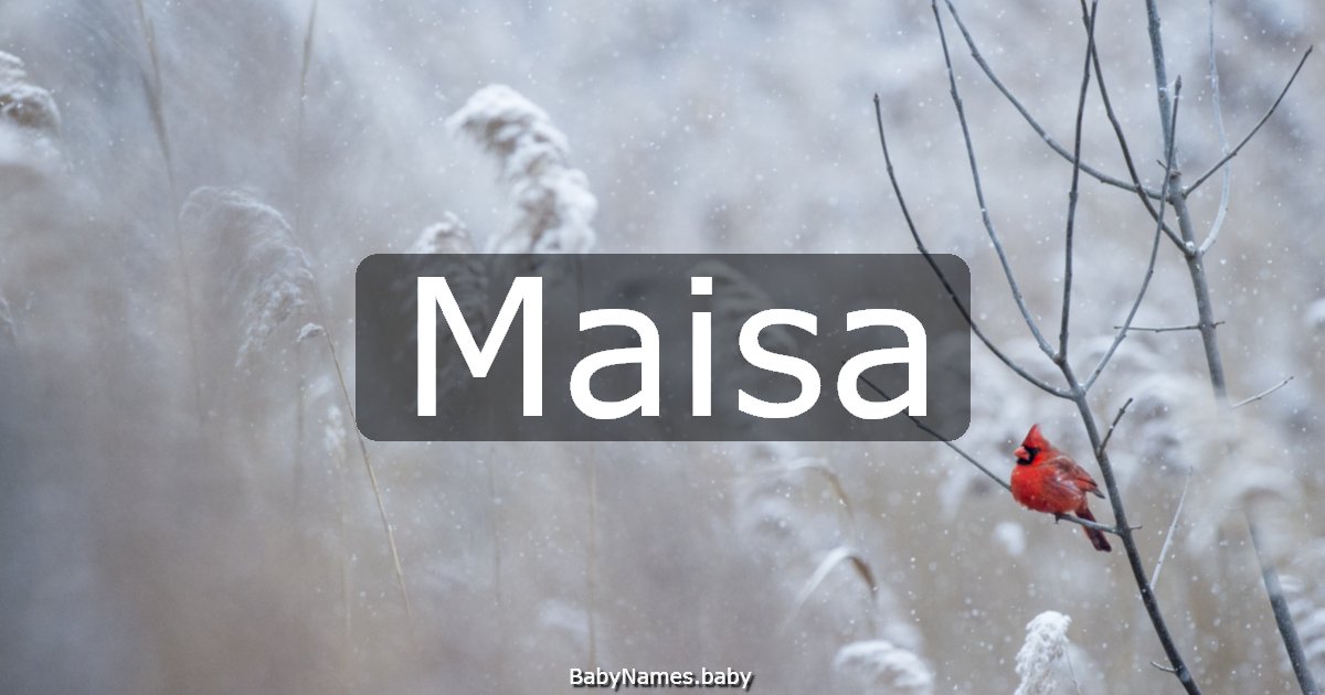Maisa