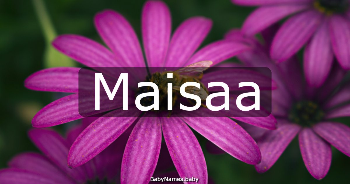 Maisaa