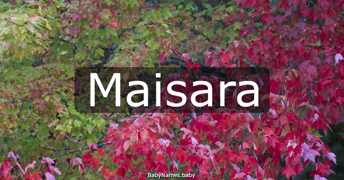 Maisara