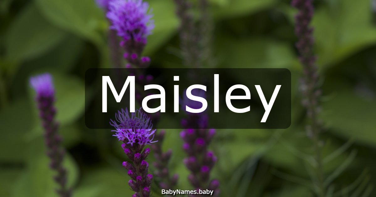 Maisley