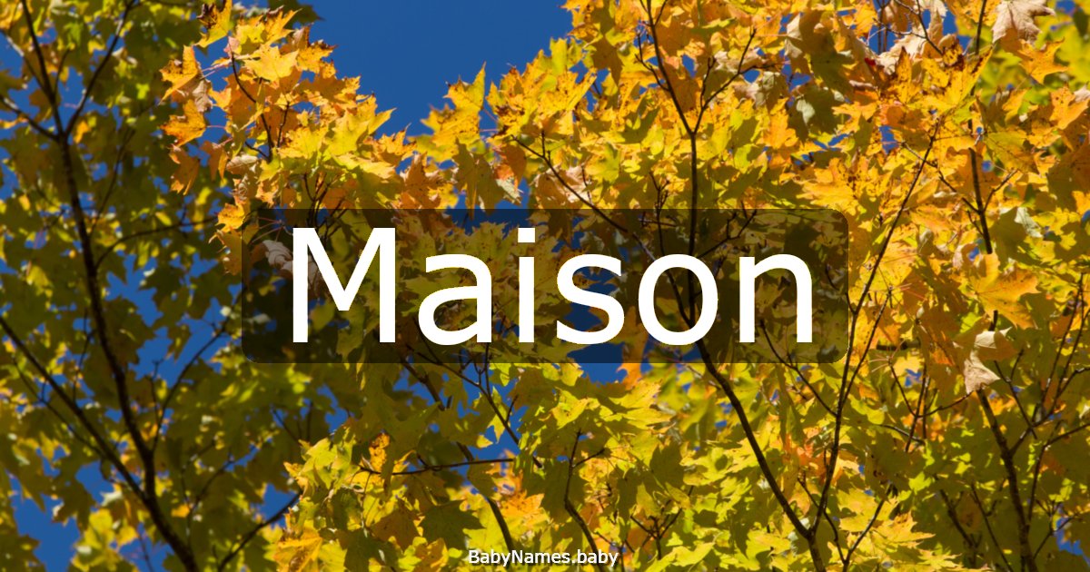Maison