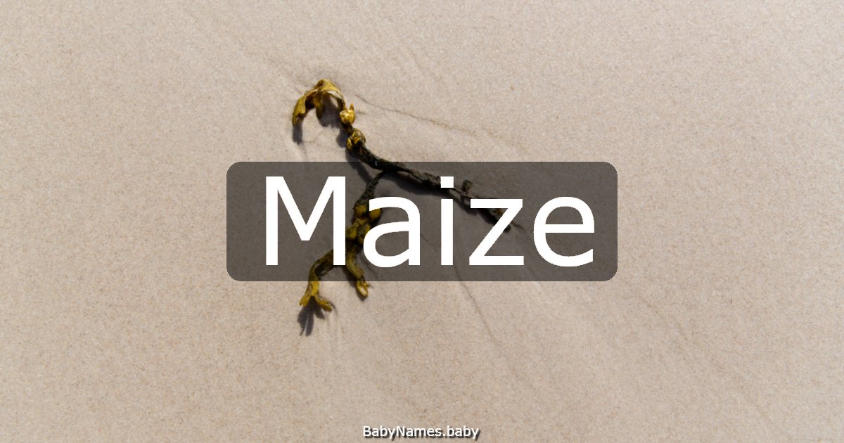 Maize