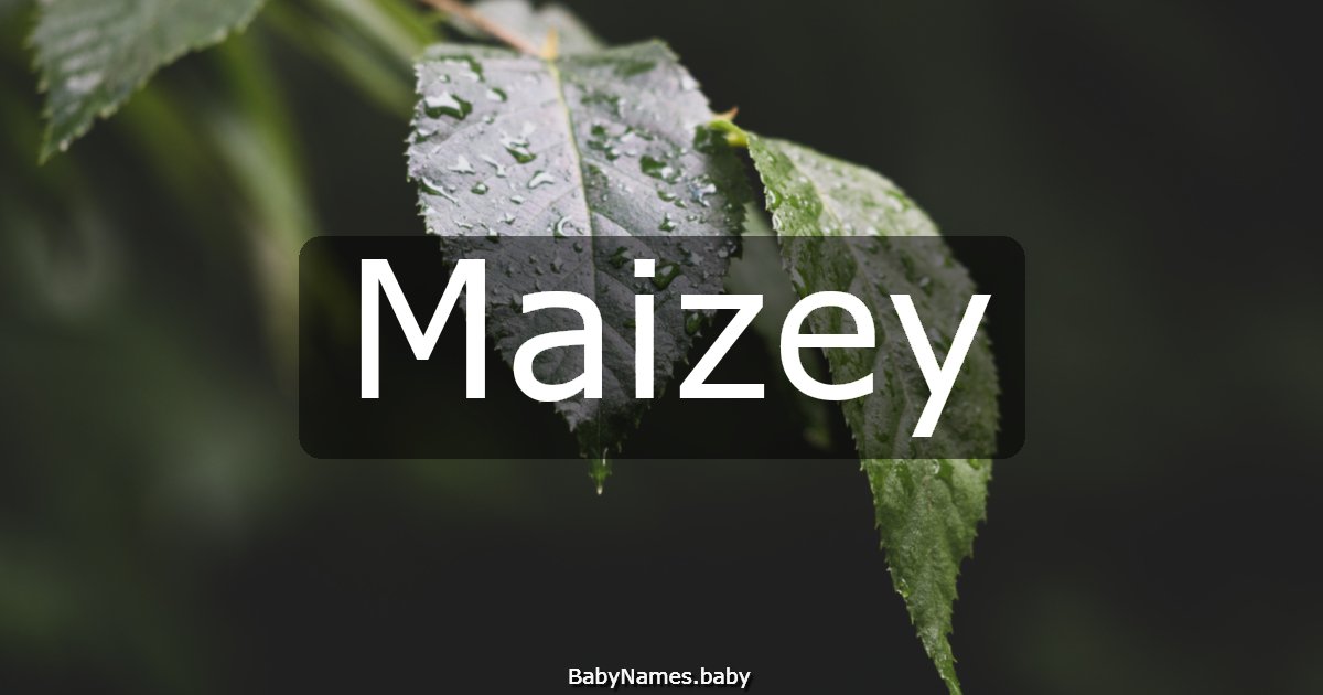 Maizey