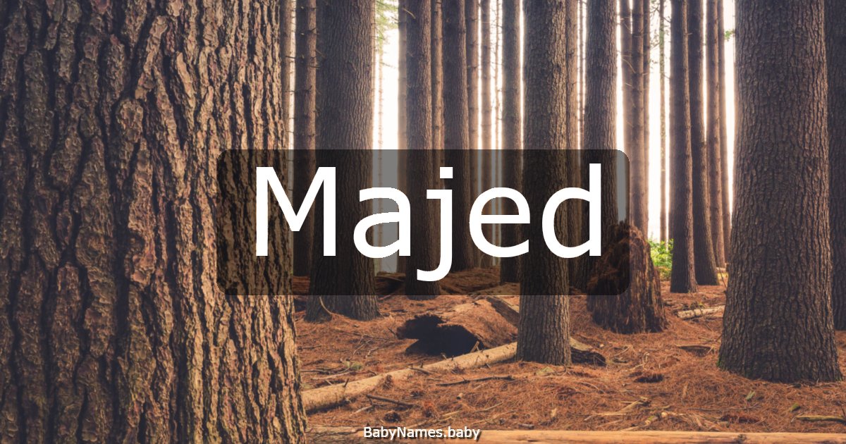 Majed