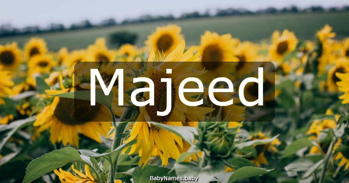 Majeed