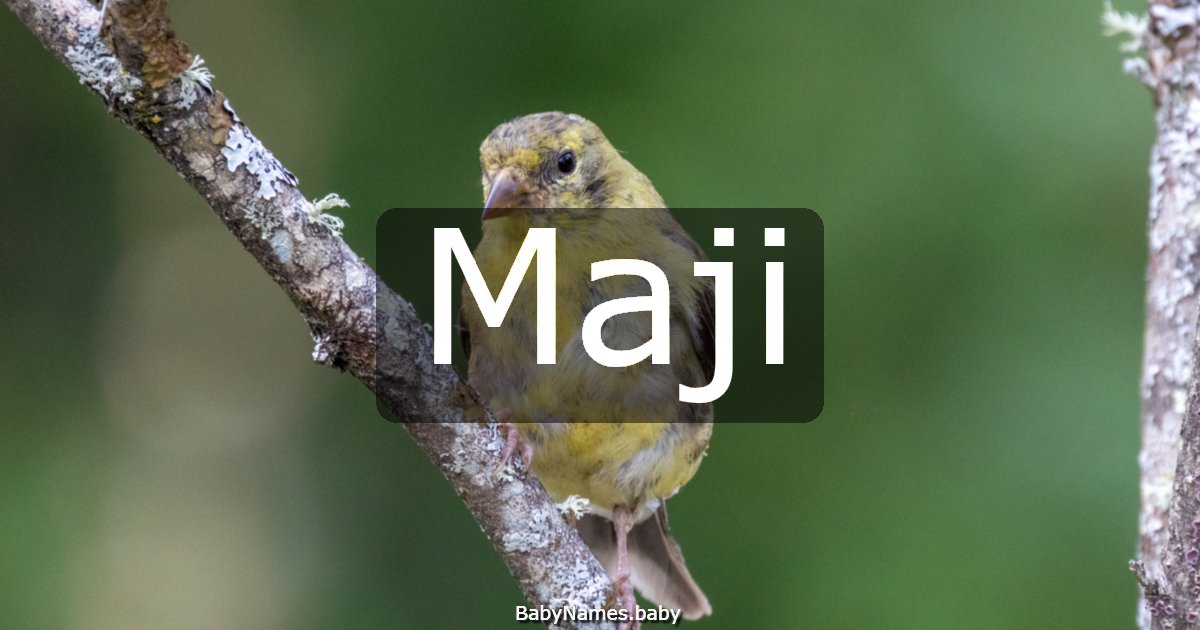 Maji