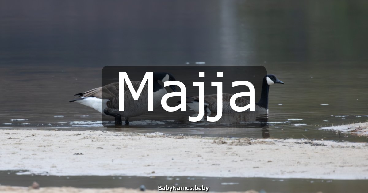 Majja