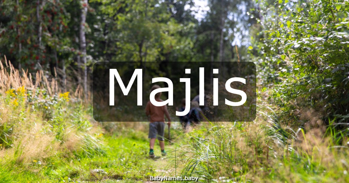 Majlis