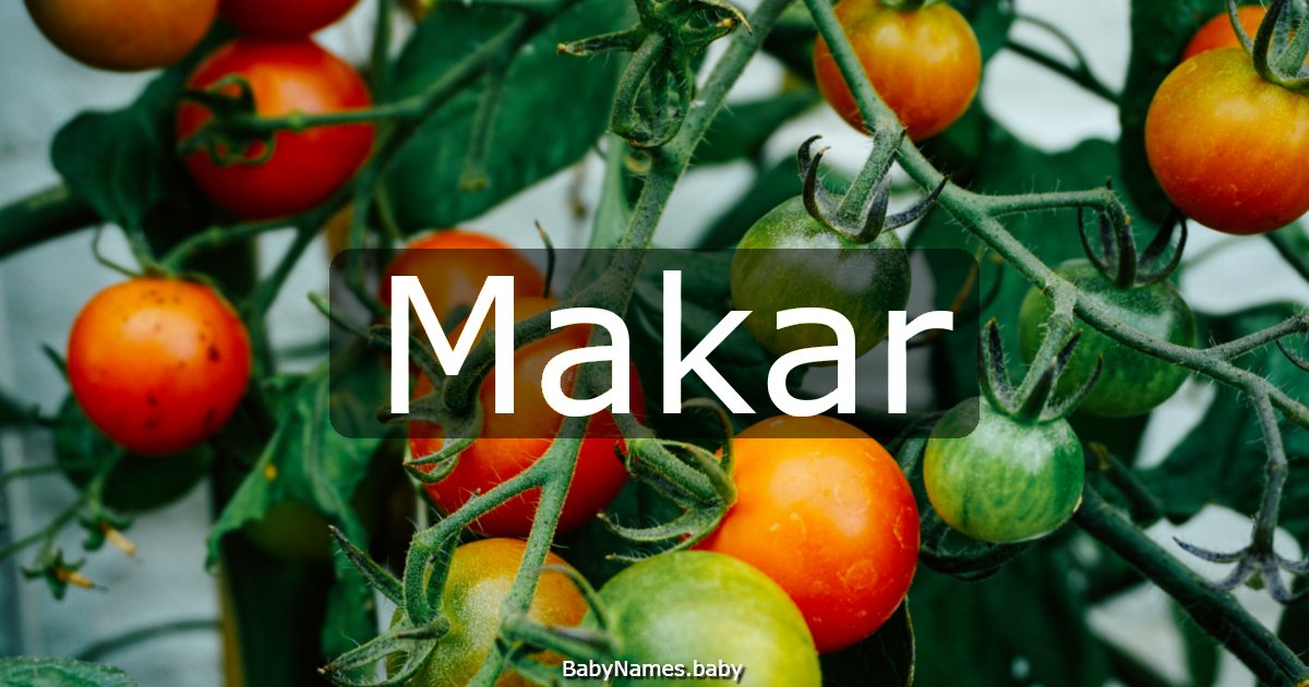 Makar