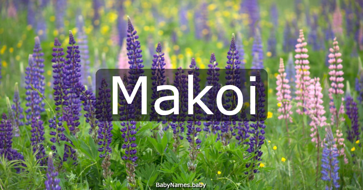 Makoi