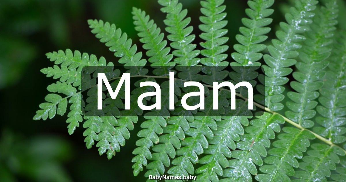 Malam